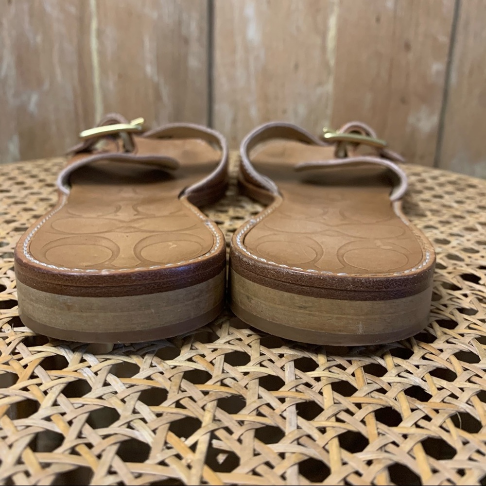Coach single strap with buckle sandals - Picture 10 of 13